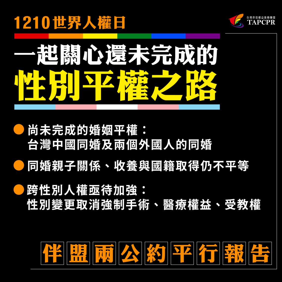 兩公約平行報告